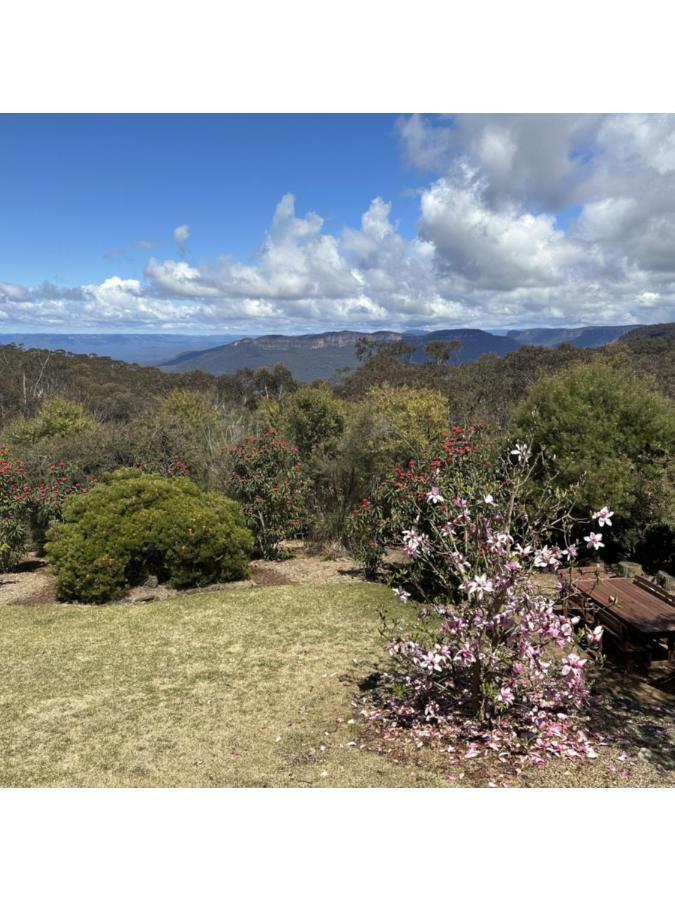 Valley Of The Waters B&B Wentworth Falls Kültér fotó
