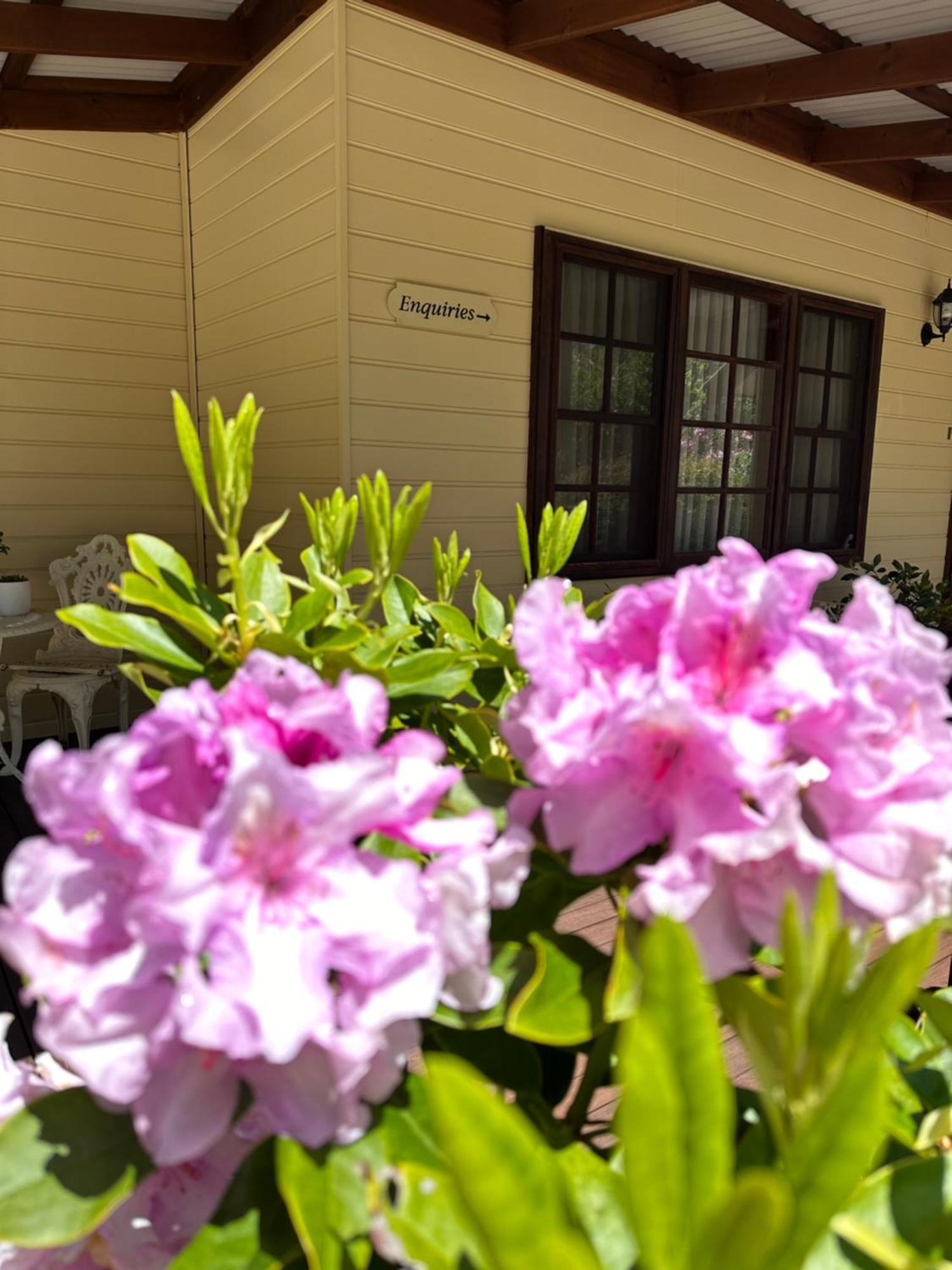 Valley Of The Waters B&B Wentworth Falls Kültér fotó
