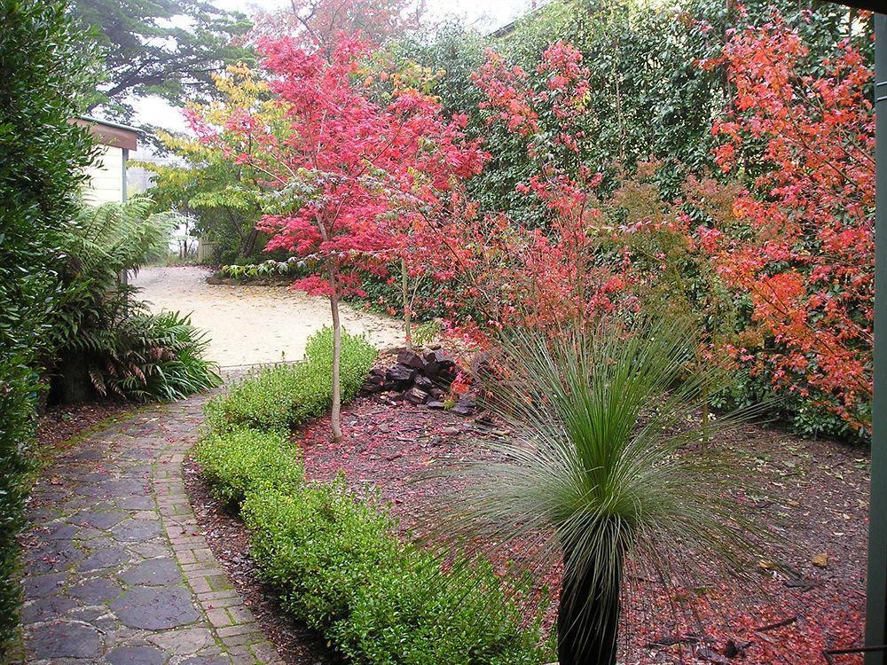 Valley Of The Waters B&B Wentworth Falls Kültér fotó