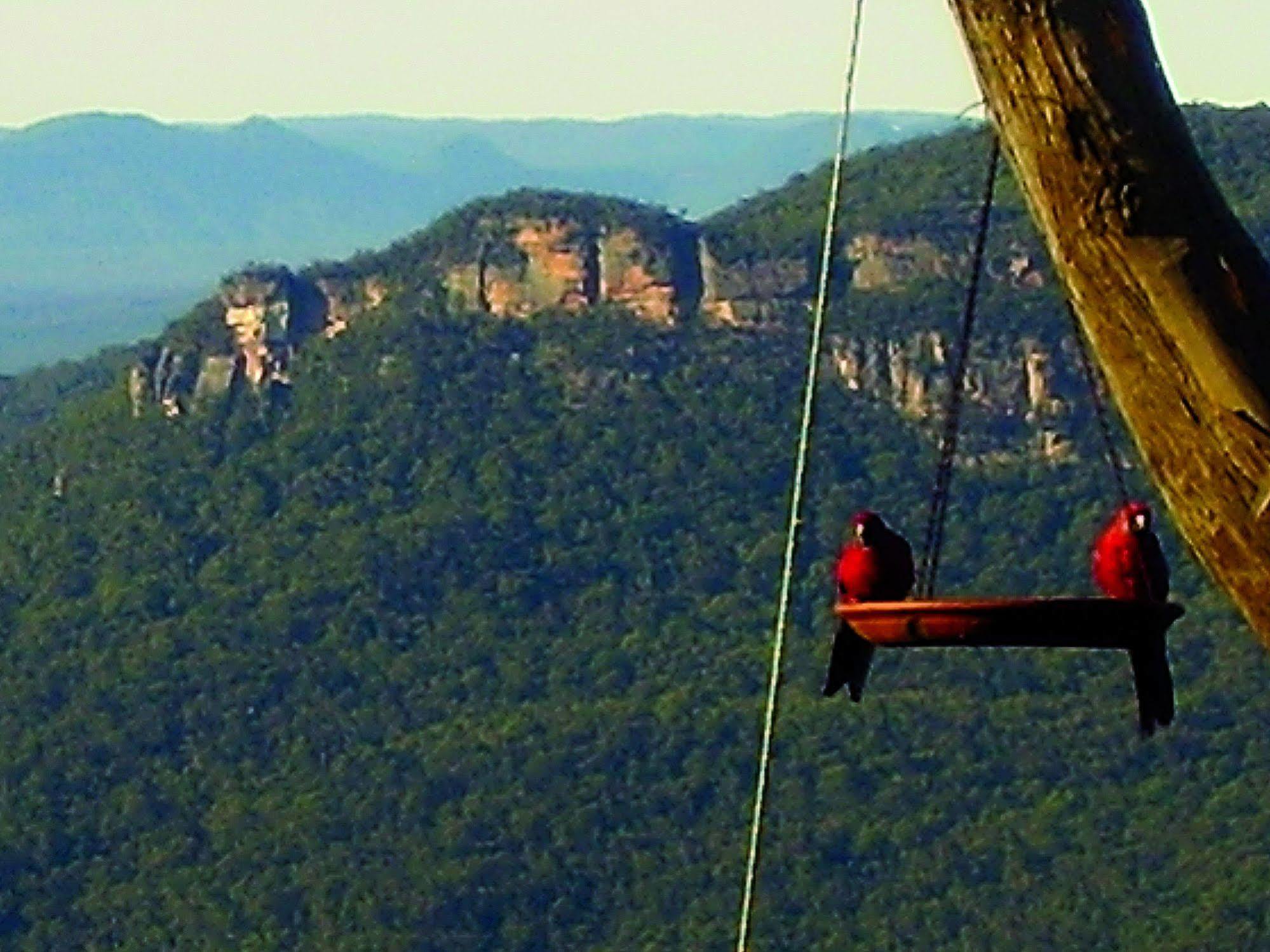 Valley Of The Waters B&B Wentworth Falls Kültér fotó