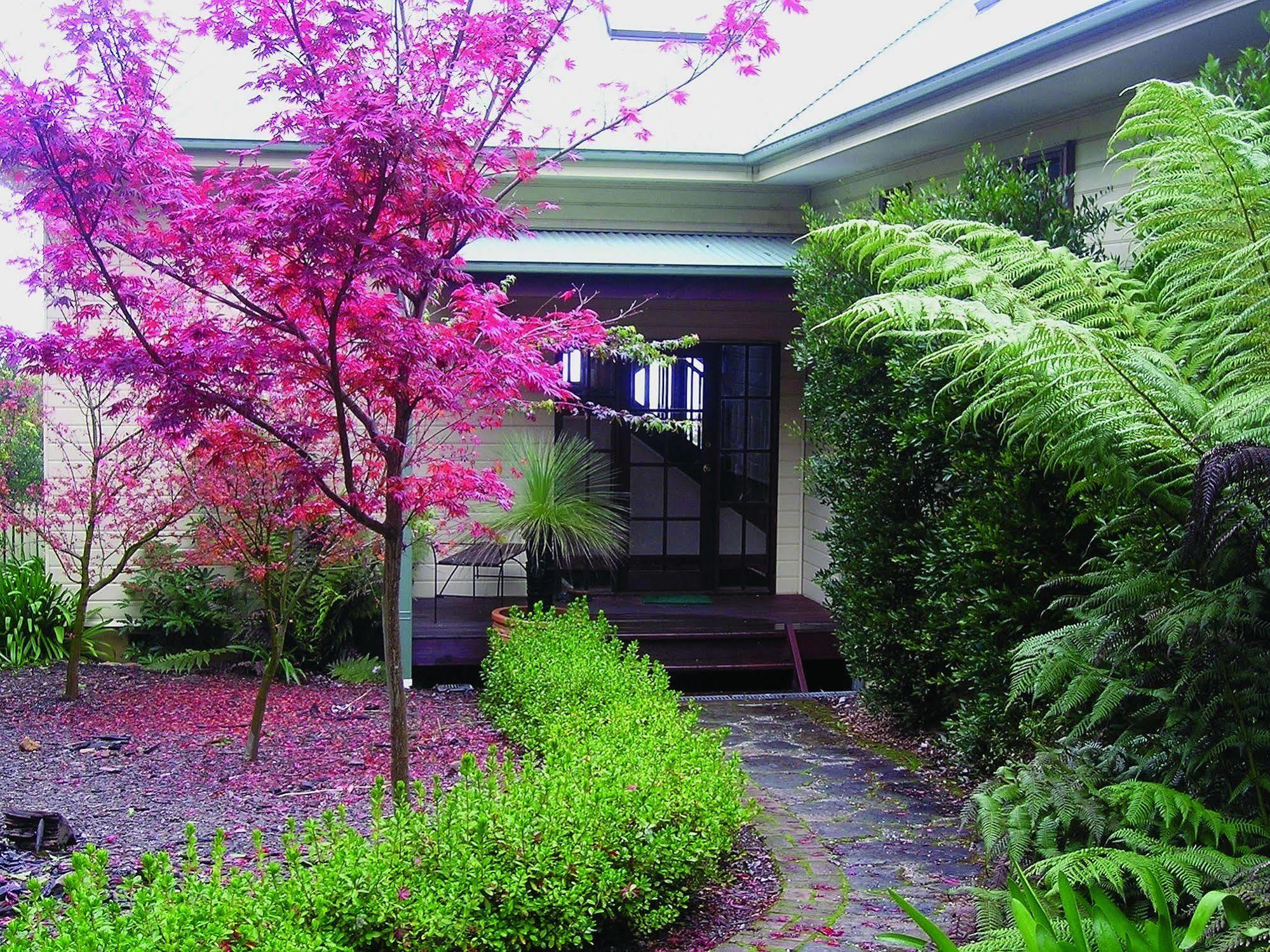 Valley Of The Waters B&B Wentworth Falls Kültér fotó