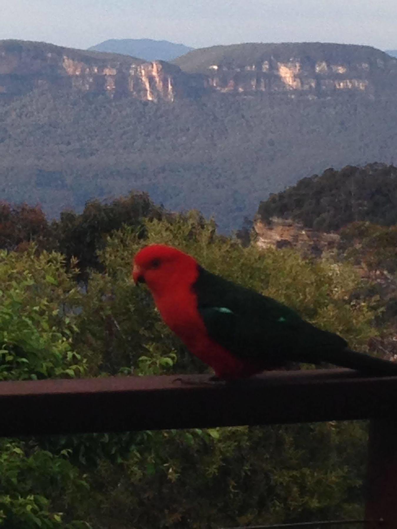 Valley Of The Waters B&B Wentworth Falls Kültér fotó