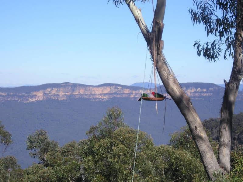 Valley Of The Waters B&B Wentworth Falls Kültér fotó